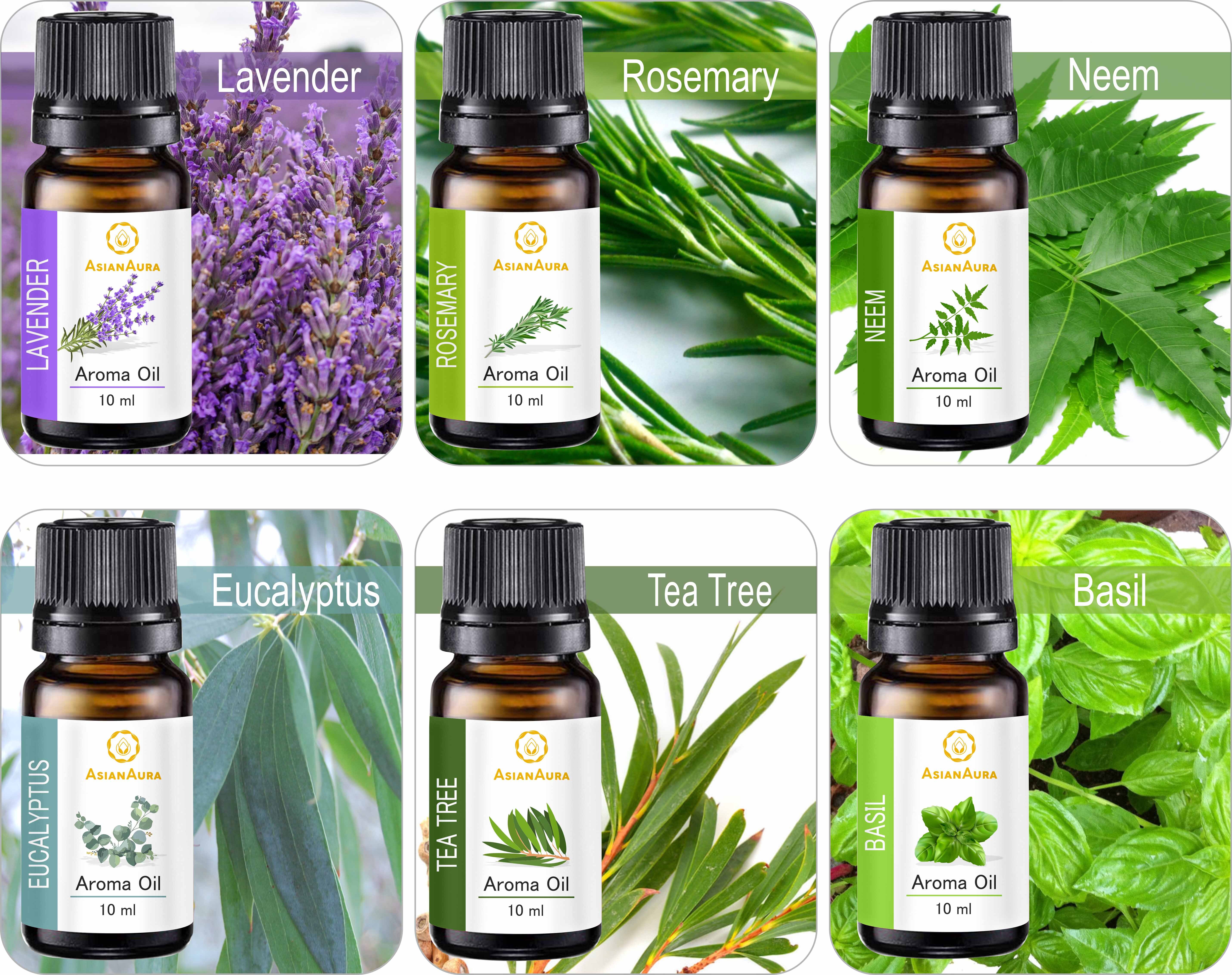 Asian Aura Anti Bacterial Pack 10ml Aroma Oil Set Of 6 Gender: Male