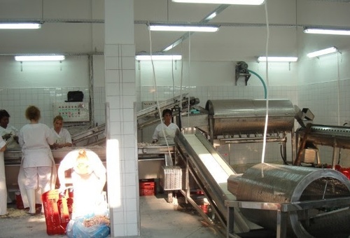 उच्च गुणवत्ता वाले चिकन लेग थोक मूल्य ताजा जमे हुए हलाल जमे हुए चिकन पैर