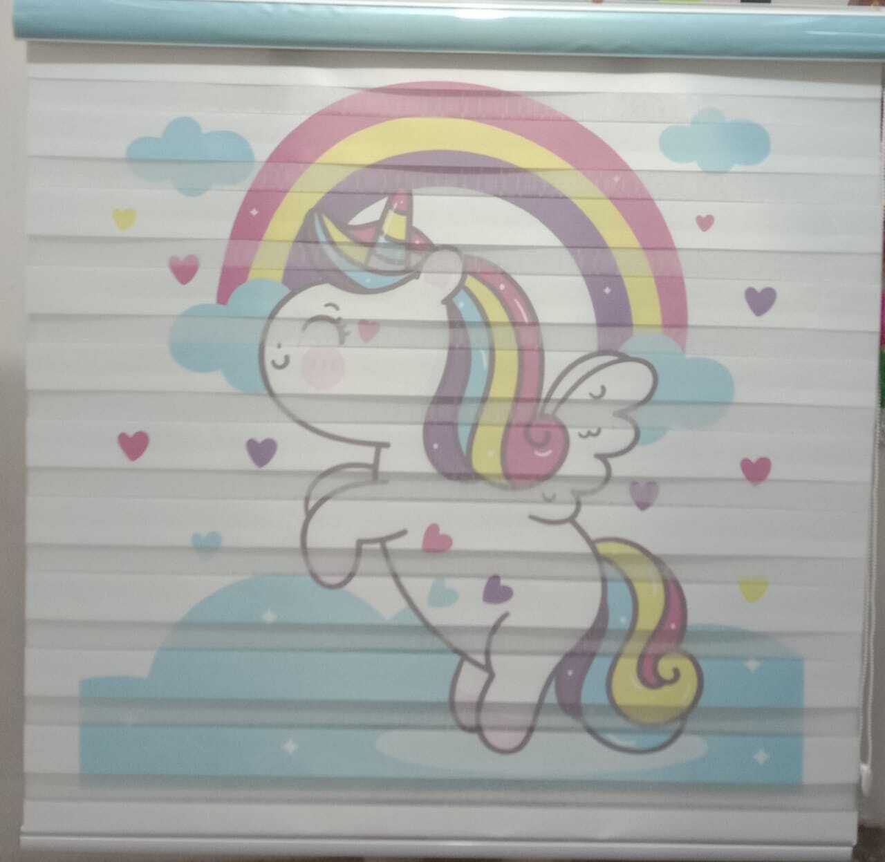 Printed Zebra Roller Blind - Plastic Material Modern Design | Ideal For Home Hotel And Office Use