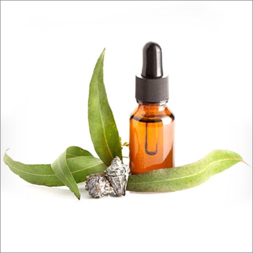 हर्बल सप्लीमेंट 30 मिली नीलगिरी बाम