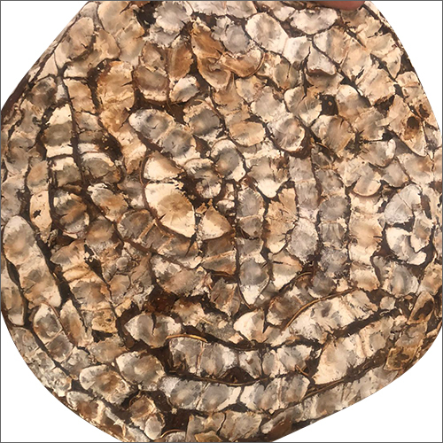 Fresh Tamarind Slab - Solid Form, Moisture Nil | Cultivated And Processed Under International Standards, Available In Various Packaging Options