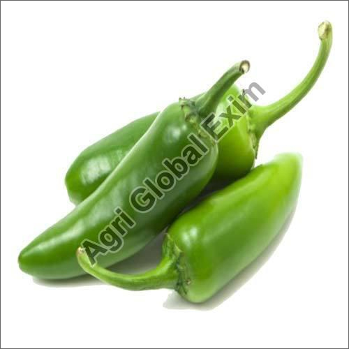 Fresh Green Chilli Moisture (%): Nil