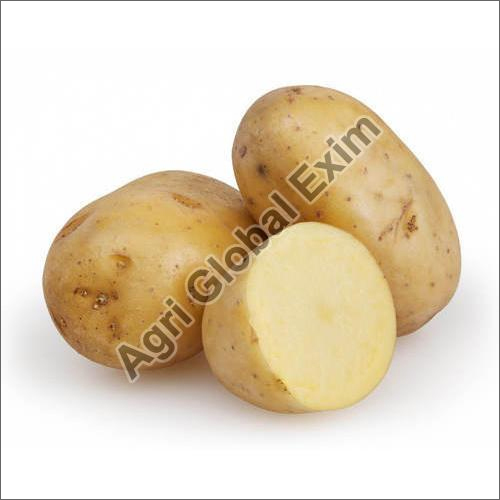 Fresh Potato Moisture (%): Nil