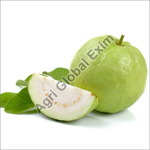 Common Fresh Guava