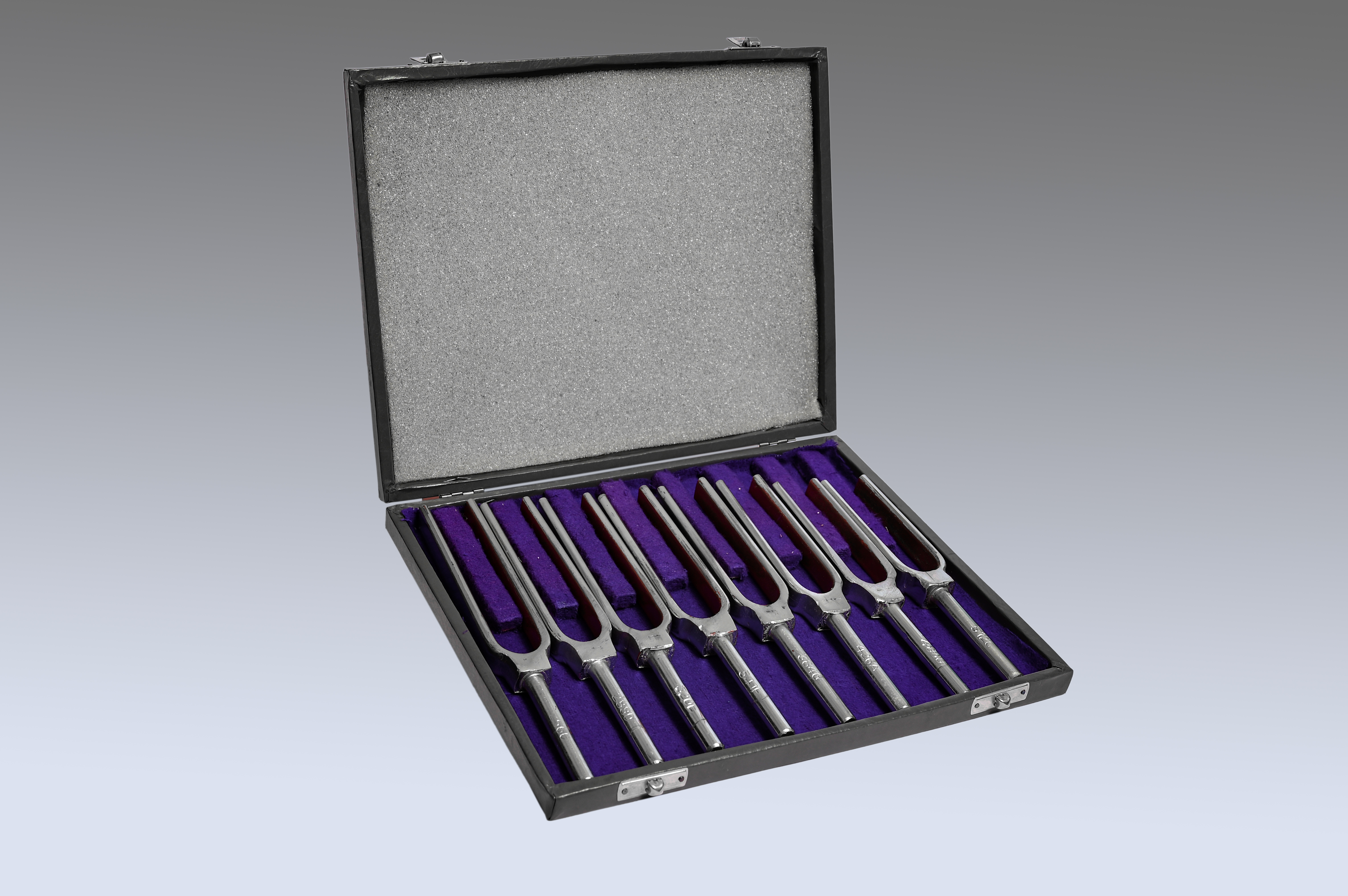 Silver Tuning Fork