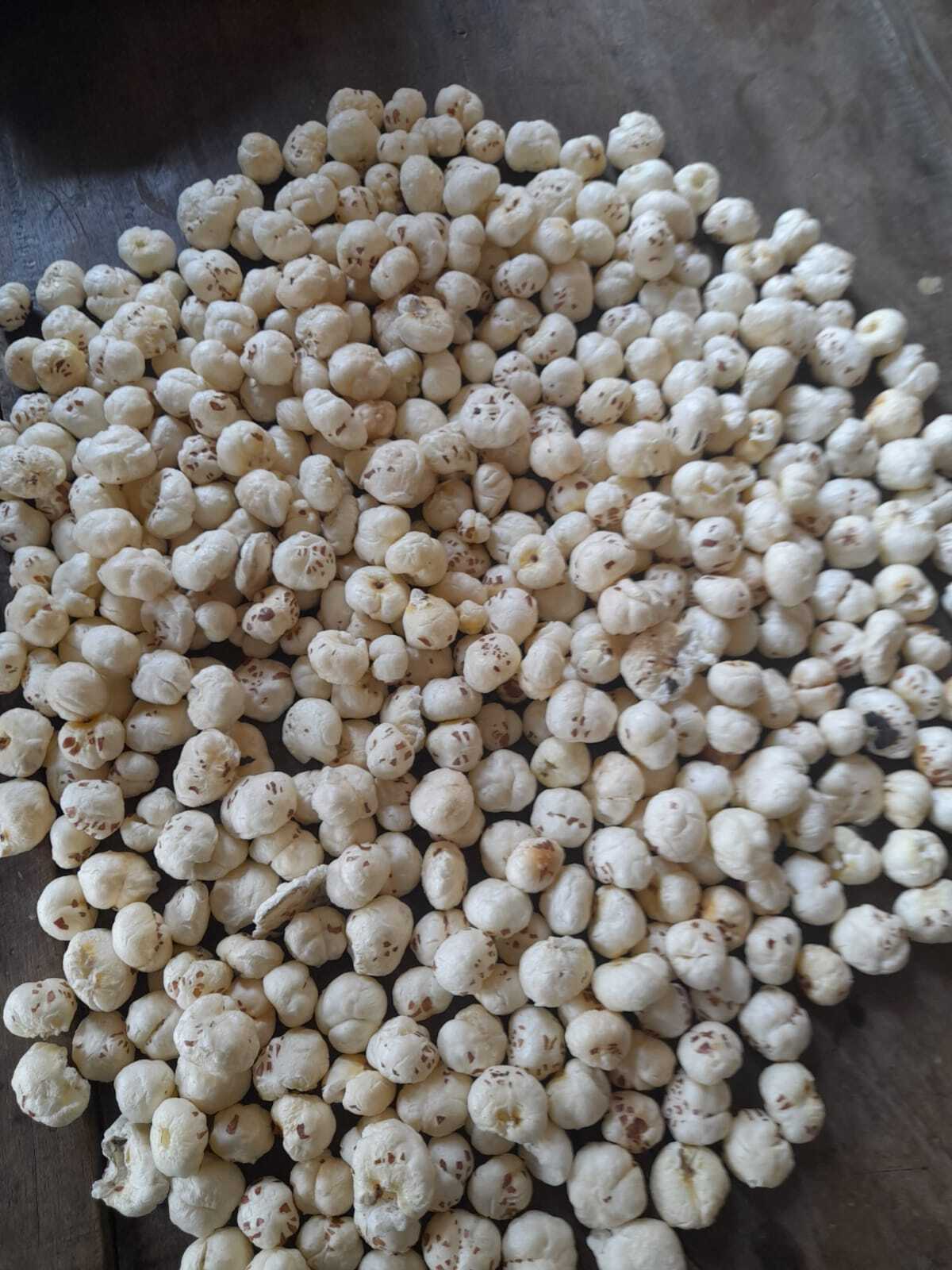 Common Dry Fox Nuts