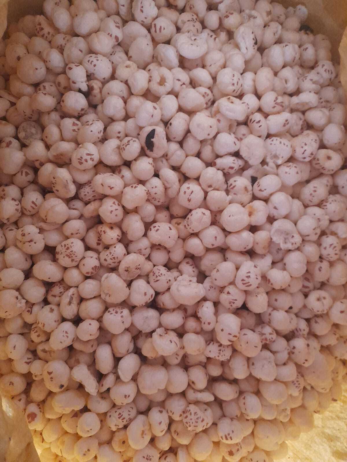 Common Dry Fox Nuts