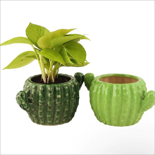 ग्रीन कैक्टस प्लांटर्स