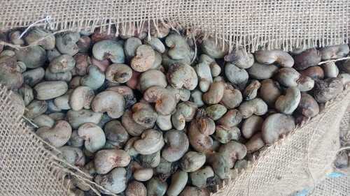 कच्चे काजू के दाने टूटे (%): 0%