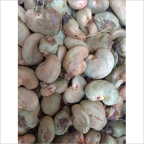 Cashew Nut Shell - Raw Whole, 1-100 Kilograms | Gluten Free, Non-GMO, Multicolor, High Protein, 0% Broken