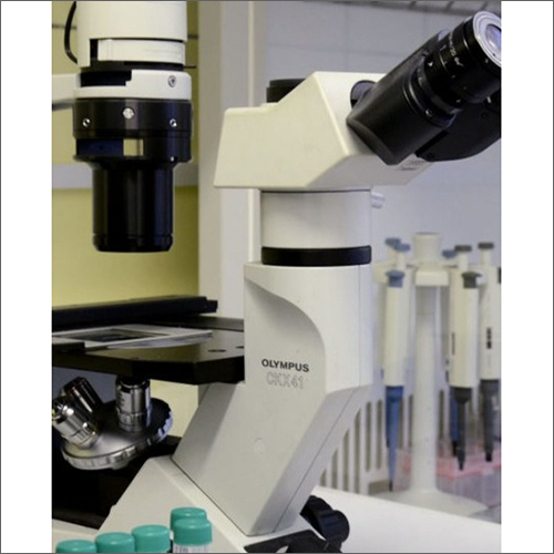 Bacteriological Water Tests Services