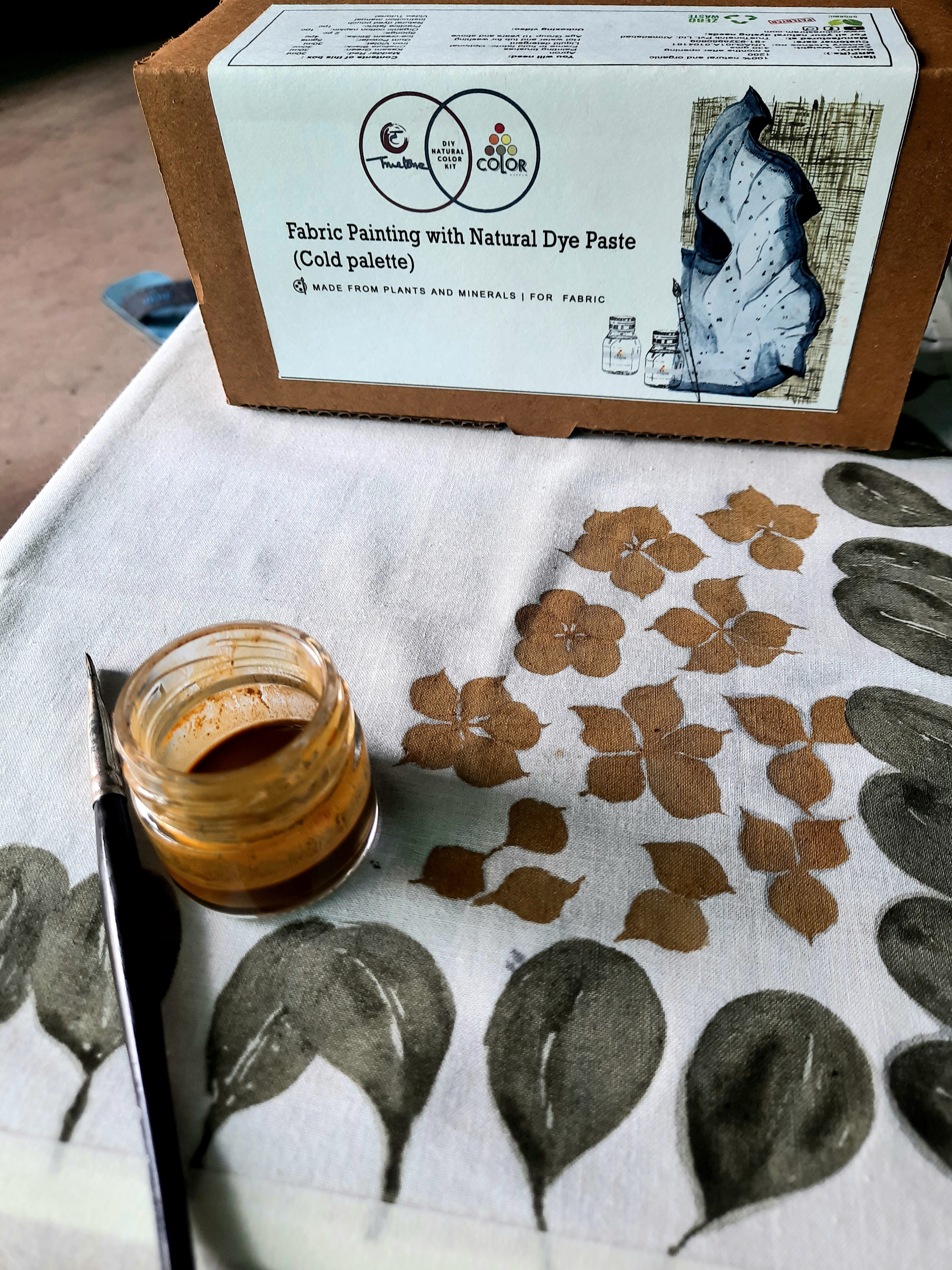 Diy Kit: Fabric Painting With Natural Dye Paste (Cold Palette)