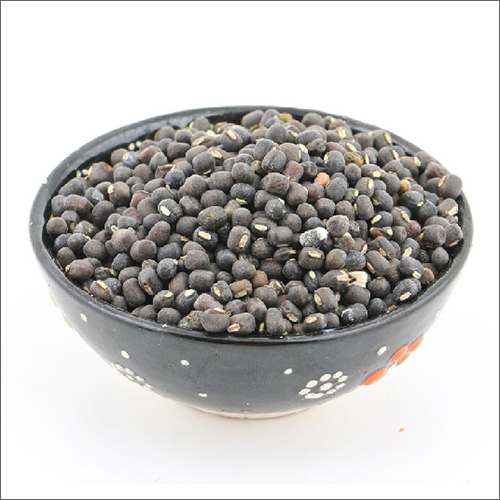 ब्लैक विग्ना मुंगो