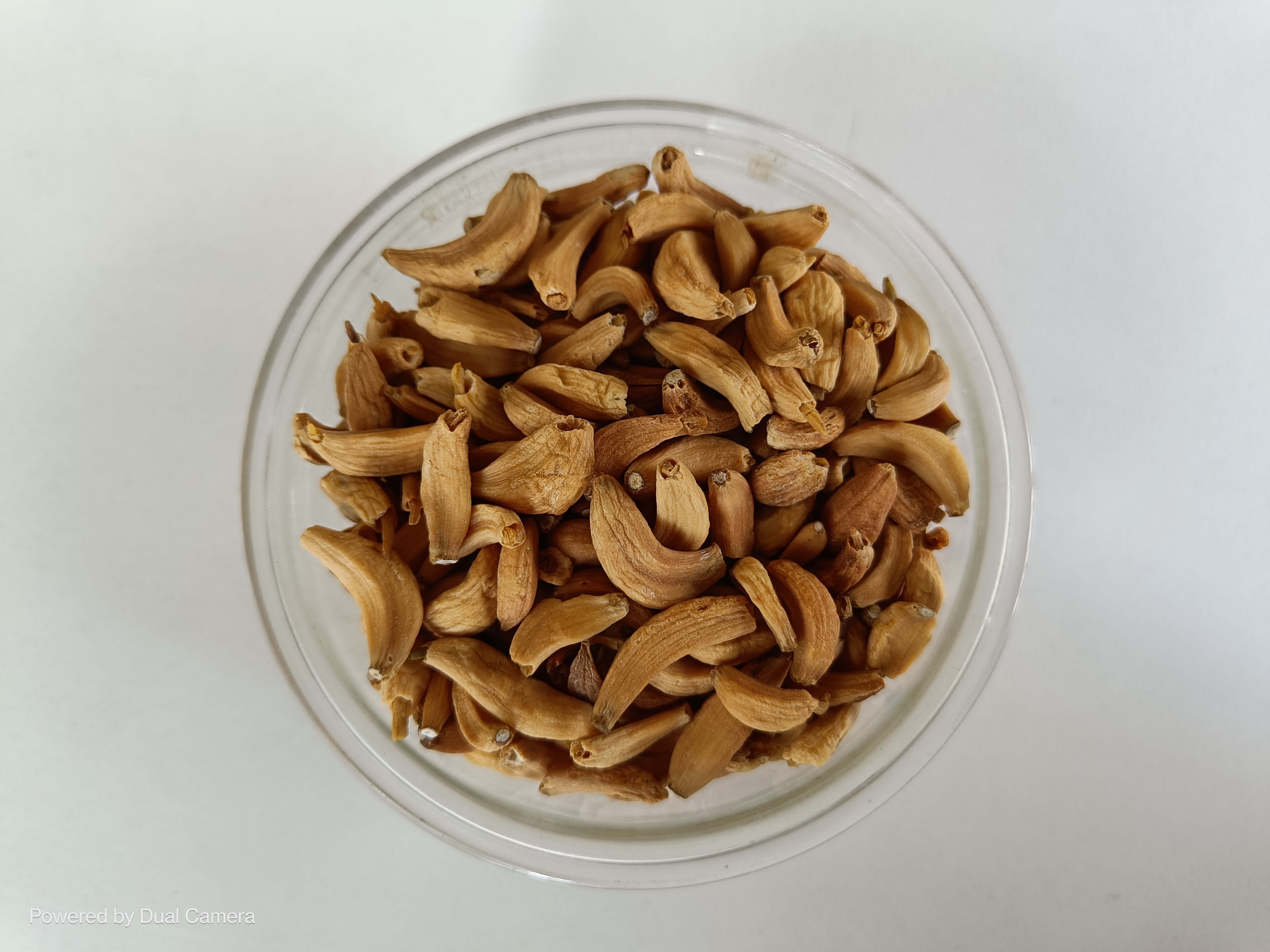 Dehydrated Garlic Flakes - Dried, 1-year Shelf Life | Free Of Adulterants, Hygienically Processed With Freeze Drying Method