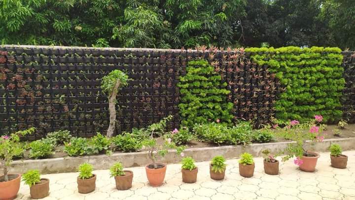 Vertical Green Wall