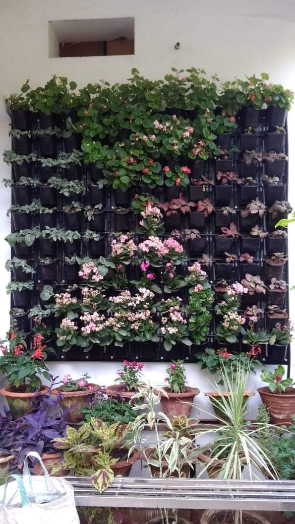 Vertical Green Wall