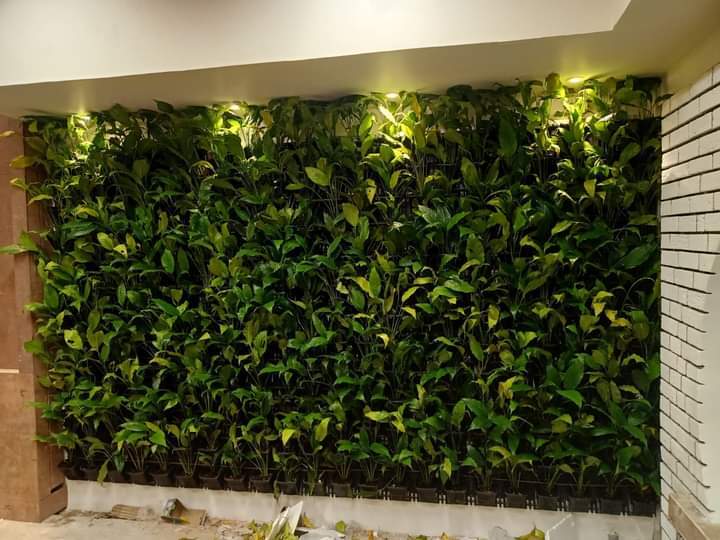 Vertical Green Wall