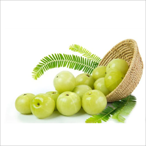 Green Fresh Amla