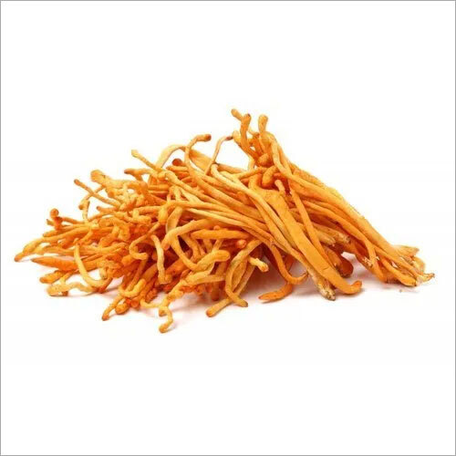 Dried Cordyceps militaris