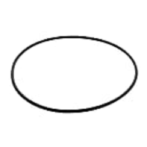 O Ring Belt