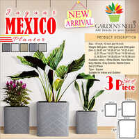 plante 3 pcs