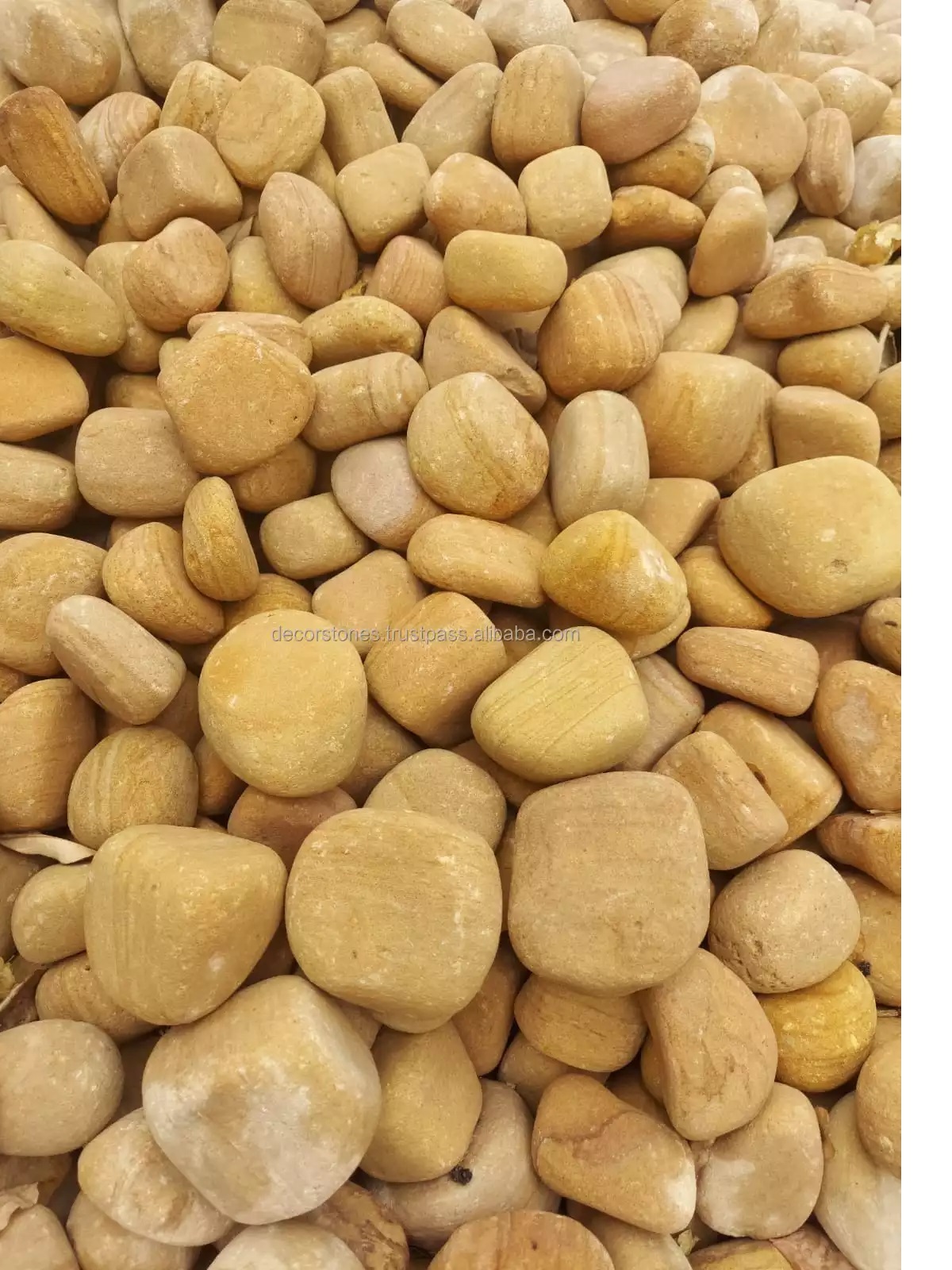 Teakwood Sandstone Pebbles - Sizes 20-50 Mm & 50-100 Mm | Smooth Yellow/brown Natural Stone For Landscaping Applications