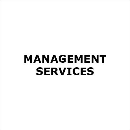Management Services