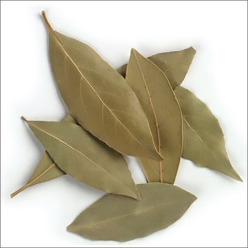 Green Dried Bay Leaves