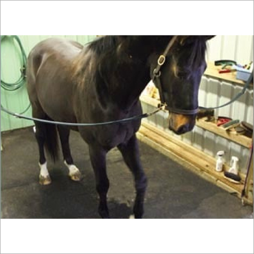 ब्लैक रबर स्टेबल हॉर्स फ्लोर मैट