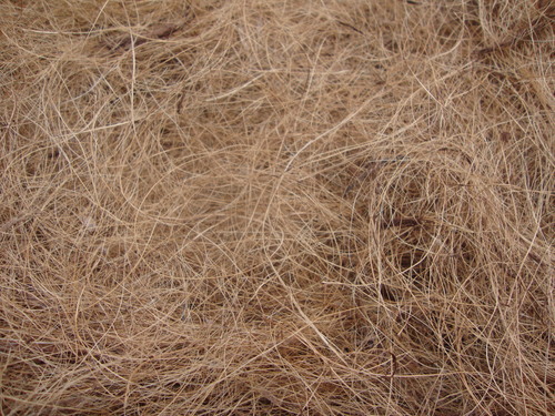 सोने के भूरे नारियल फाइबर