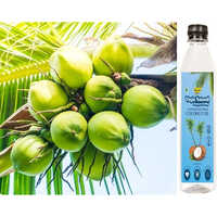 कोल्ड प्रेस्ड वर्जिन कोकोनट ऑयल