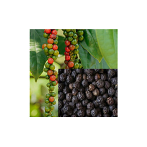 काली मिर्च