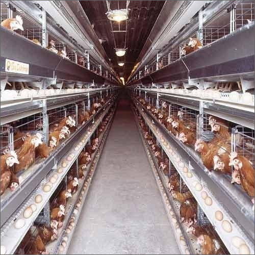 ब्रीडर्स के लिए ग्रे 15X14X12 इंच एल्यूमीनियम मिश्र धातु बैटरी पिंजरे