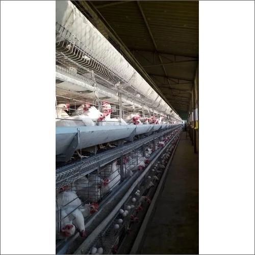 ग्रे जीआई वायर एच-टाइप ऑटोमैटिक लेयर केज