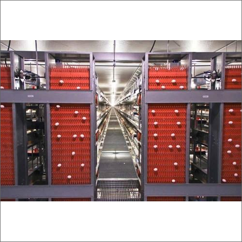 रेड गैल्वनाइज्ड शीट्स एग कलेक्शन सिस्टम