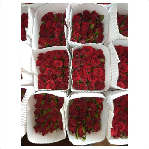 Common Gift Pack Red Roses
