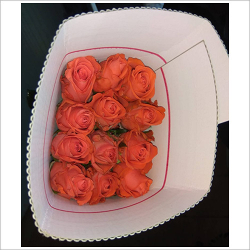 Common Orange Rose