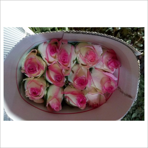 Pink Yellow Roses - Multicolor Fresh Flowers | 12 Days Shelf Life, Friendship and Love Symbolism