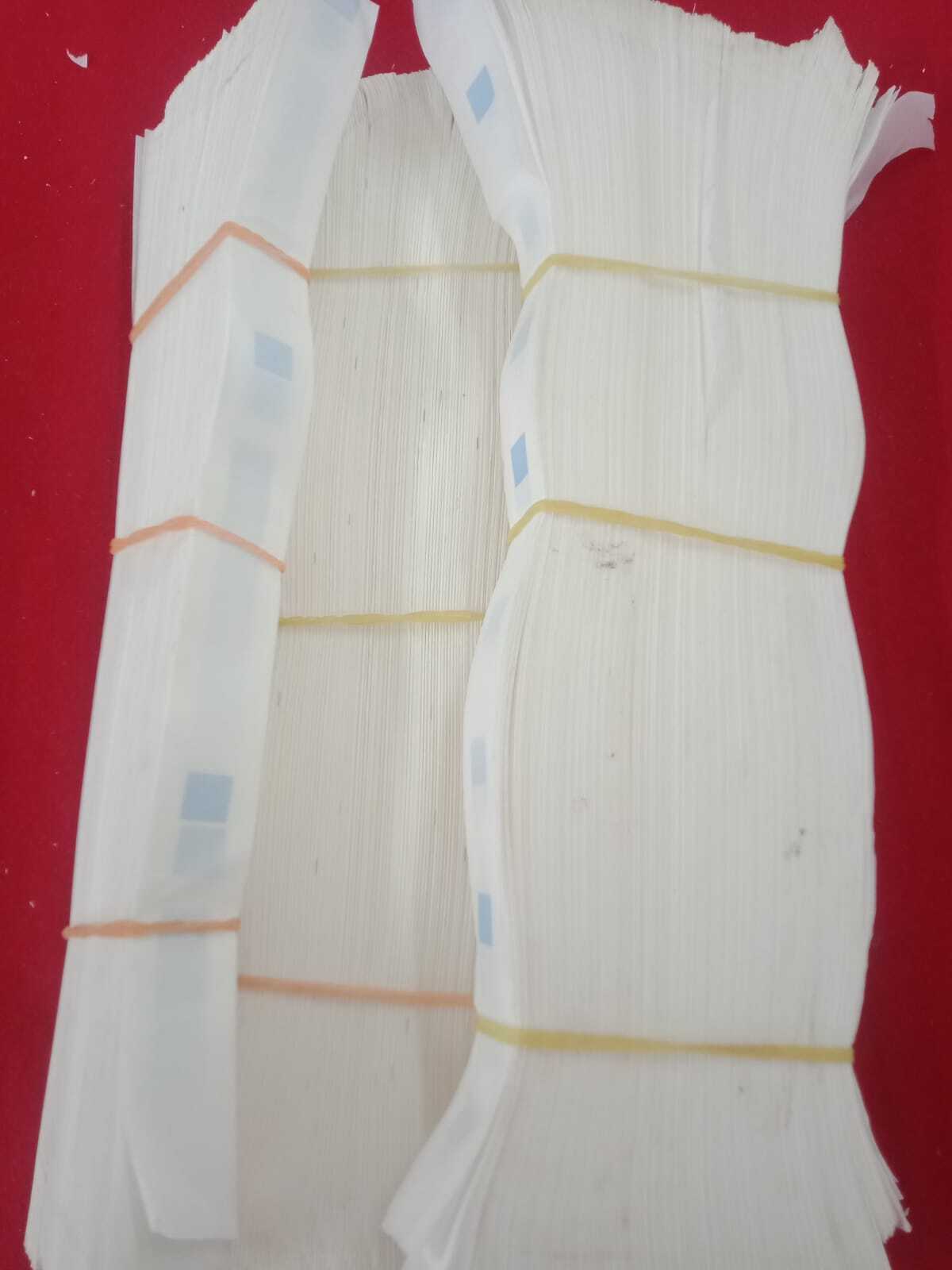 Confetti Paper Blaster Coating Material: Coated
