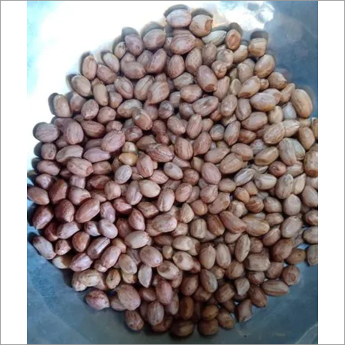 Oil Groundnut Seed - Moisture 8%-9%, Oil Content 42%-48%, Sizes 50/60, 60/70, 70/80 | Edible, High Purity, First Class, Common Cultivation