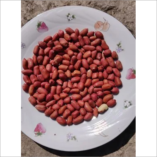 Natural Red Peanut - Oil Content 42%-48%, Size 50/60, 60/70, 70/80 | Moisture 8%-9%, Admixture 1% Max, Common Variety, Raw Style