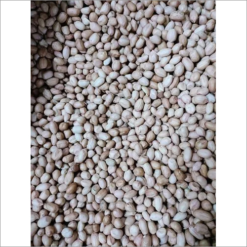 सामान्य सफेद जावा मूंगफली