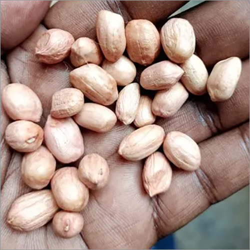 Common Natural Raw Peanut