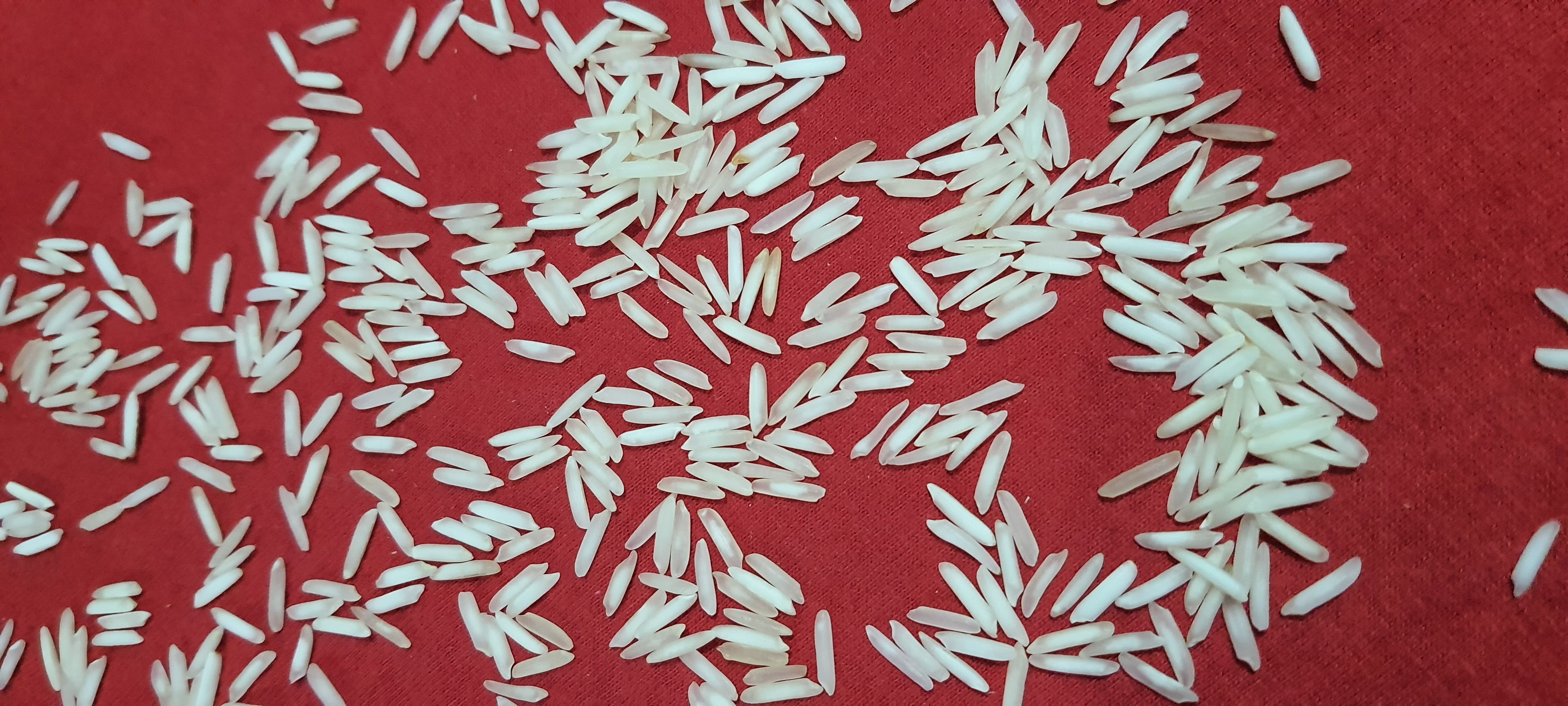 1121 Steam Basmati Rice - 95% Purity, Long Grain 8.50 Mm, Dried Non-sticky White Grain | Organic, 1% Broken, Nil Foreign Particles, High Aroma
