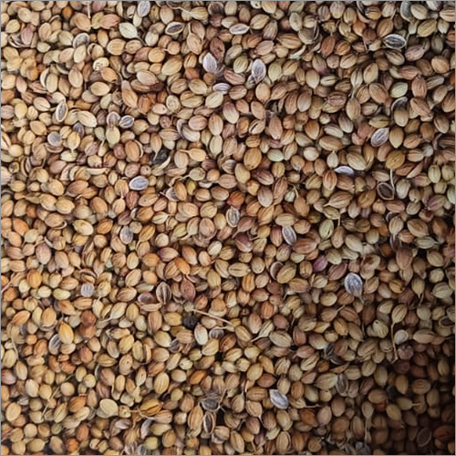 तुलसी बीज