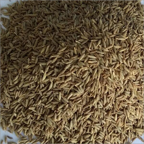 Cumin Seed - First Class Quality, Raw Processing, Dry Storage | Rich In Dietary Fiber, Antioxidant Properties, Intense Aroma And Flavor