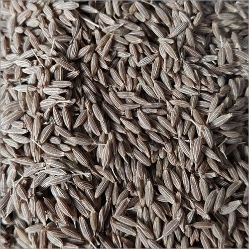 Cumin Seed - First Class Quality, Raw Processing, Dry Storage | Rich In Dietary Fiber, Antioxidant Properties, Intense Aroma And Flavor