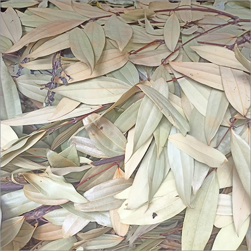 Bay Leaf - First Class Raw Leaves | Detoxifying, Rich In Vitamins, Perfect For Cooking And Wellness