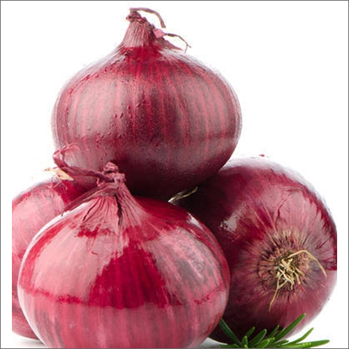 Round Red Onion