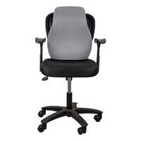 दर्द से राहत बैक रेस्ट कुशन